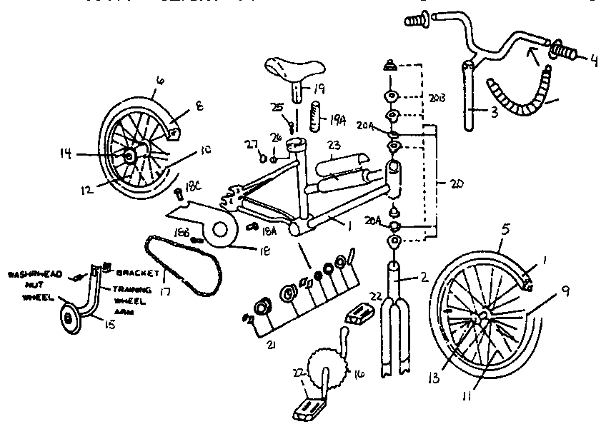 Western Auto JY5505A39 girl's 12" bmx bicycle diagram