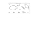 Toro 20330 (311000001-311999999) engnie gasket set diagram