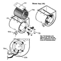 Payne PG8MAA048070AAJA blower assy diagram