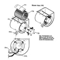Payne PG8MAA036070AAJA blower assy diagram