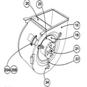 Carrier 58MXA080-F blower assy diagram