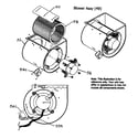 Payne PG8JAA036045AAJA blower assy diagram