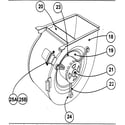 Carrier 58MXA080F14120 blower assy diagram