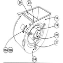 Carrier 58MXA060F14116 blower assy diagram