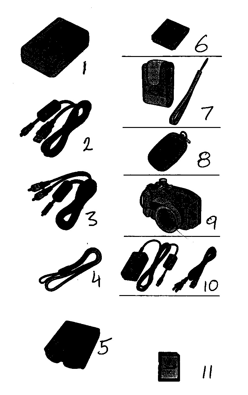 Panasonic DMC-FX10 accessories diagram
