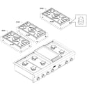 Thermador PCG486GD/03 grates diagram