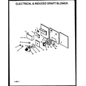 Amana GSC125A50A/P1163904F electrical & induced draft blower diagram
