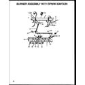 Caloric RLS666 burner assembly with spark ignition (rms399) diagram