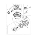 Kenmore 66517742K016 pump and motor parts diagram