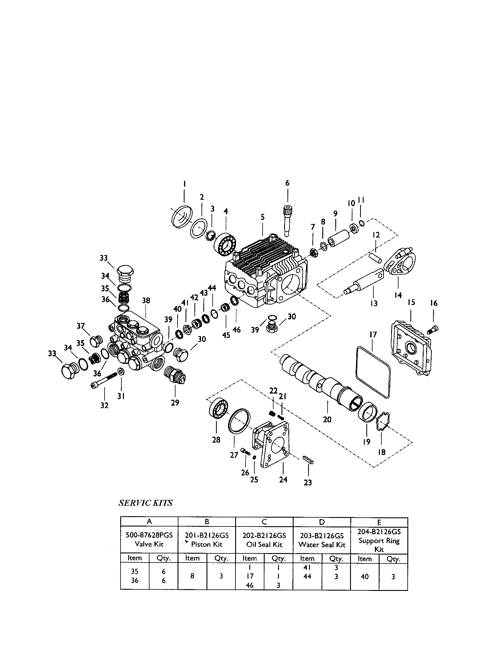 Generac 1539-0 pump diagram