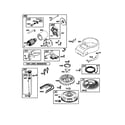 Briggs & Stratton 310707-0137-E1 blower-housing/motor-starter diagram