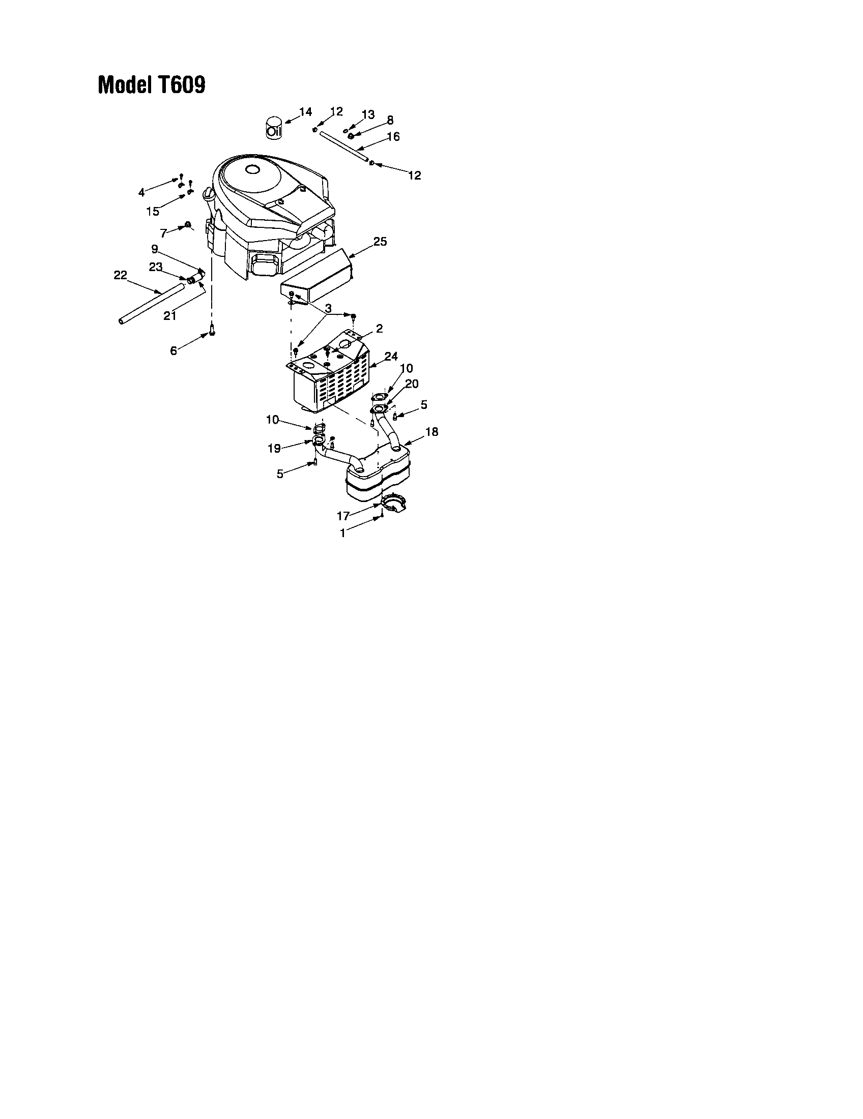 Troybilt 13AJ609G766 muffler diagram