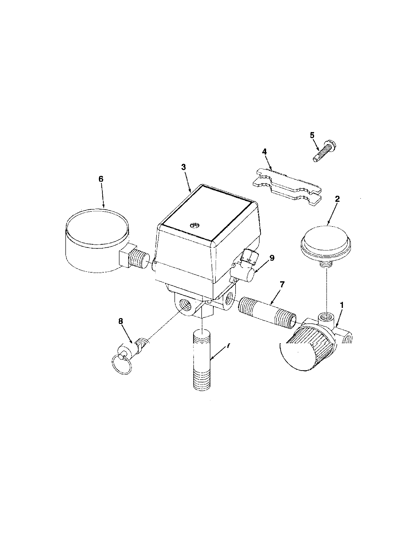 Coleman L0602712 gauge/pressure switch/nipple diagram