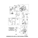 Ariens 96046001000 cylinder/crankshaft/sump diagram
