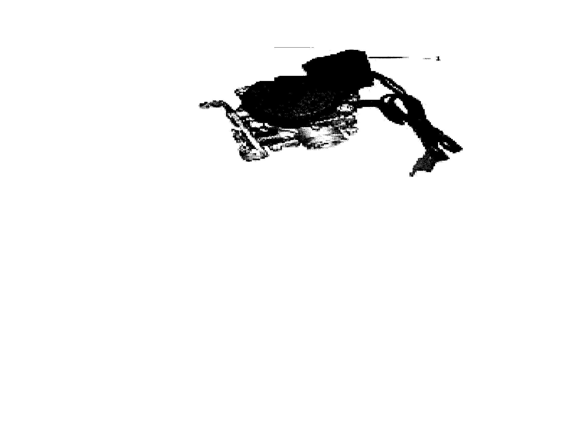 Baja RT50-R carburetor diagram