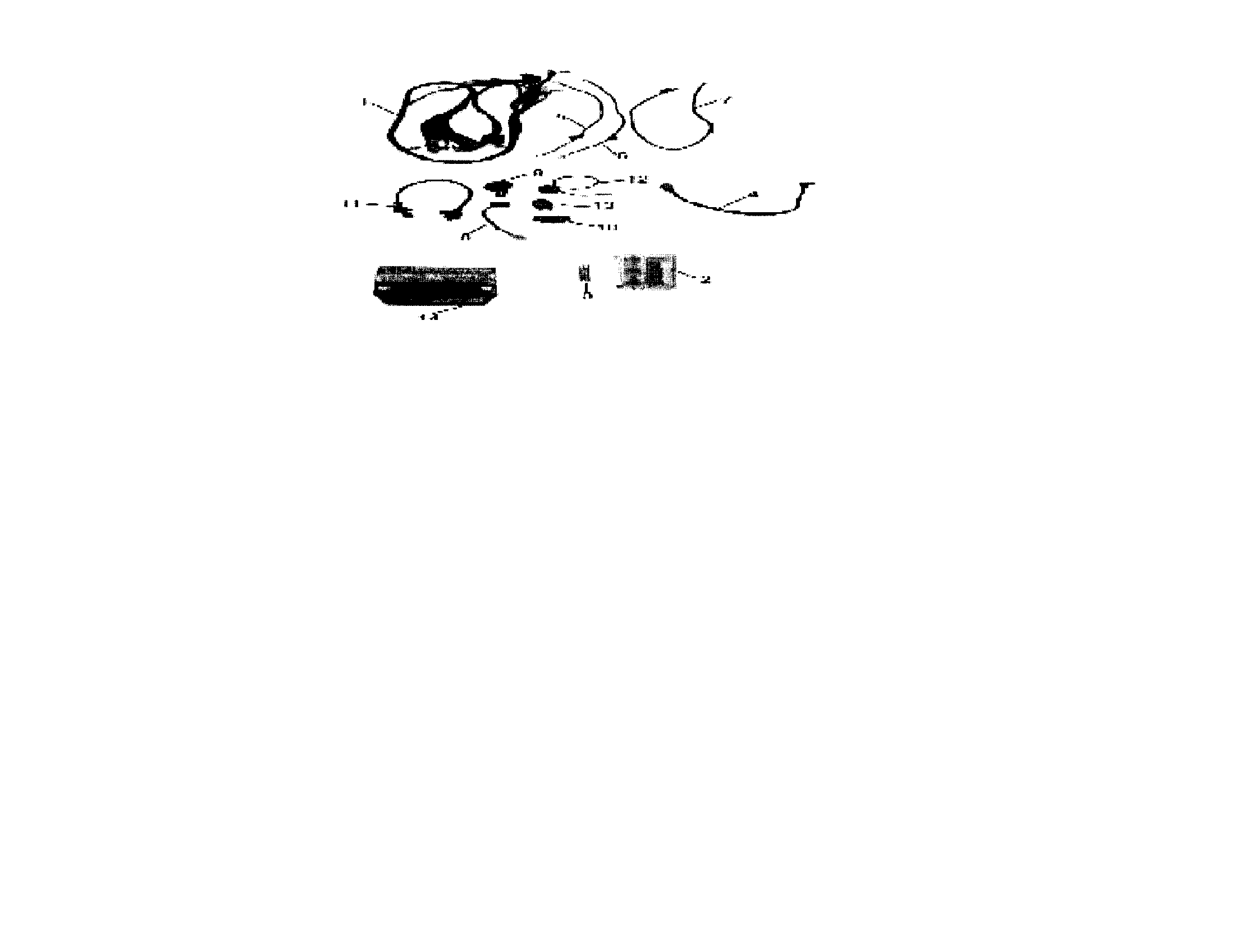 Baja RT50-R electrical diagram