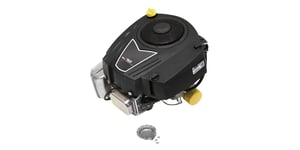 Lawn & Garden Engine